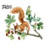 Watercolor Squirrel Stickers Wall Sticker, Cute Tree Branch Decal, Non Adhesive Window Film Forest Animal Mural Art for Living Room, Bedroom, Nursery