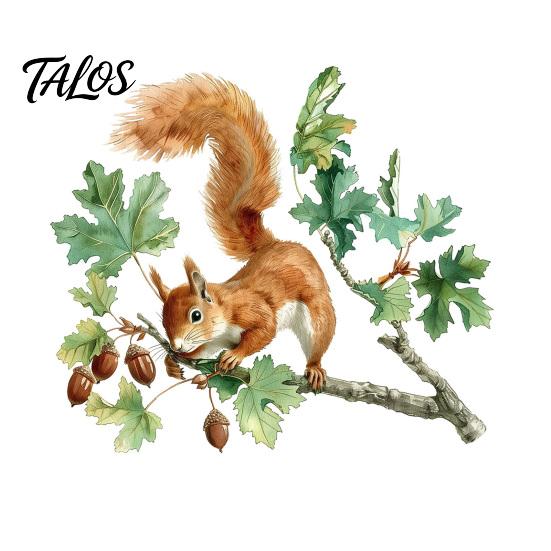 Watercolor Squirrel Stickers Wall Sticker, Cute Tree Branch Decal, Non Adhesive Window Film Forest Animal Mural Art for Living Room, Bedroom, Nursery