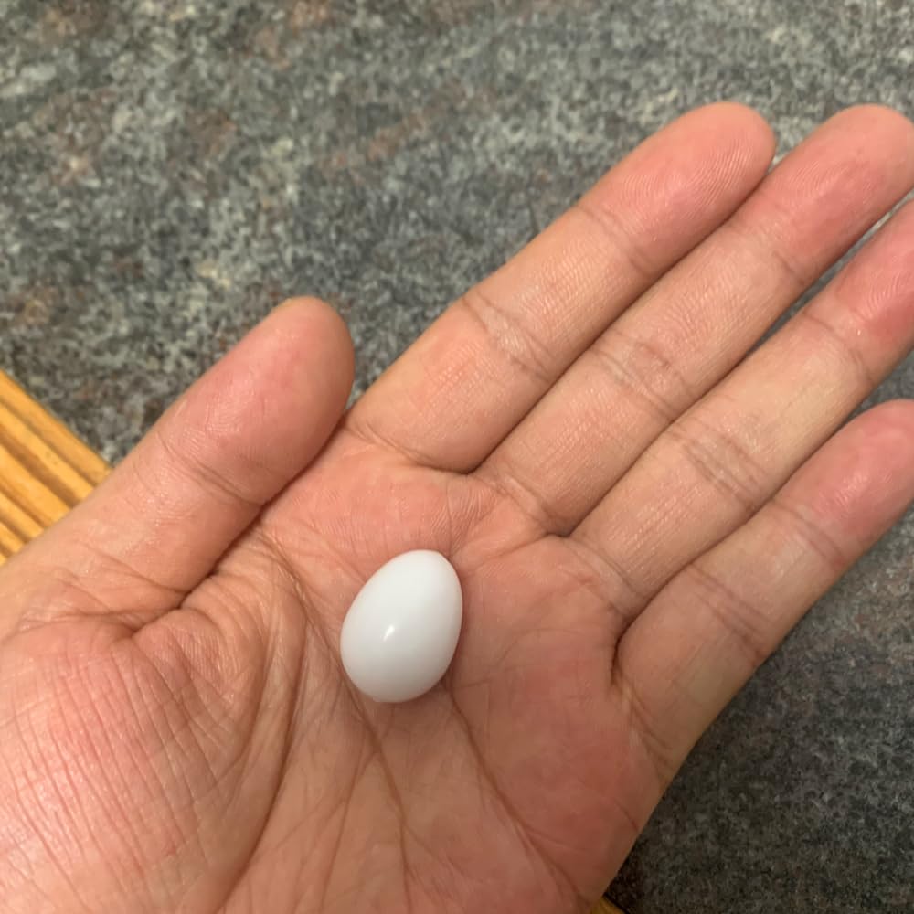 LYHMHAMY Fake Plastic Set of Bird Toys for and Small Breeding Fake Egg Food DIY Gardening Accessories Eggs, Eggs, 6, Parakeets, Budgies, Birds,
