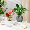Nordic Style Water-Absorbing Flowerpot Transparent Automatic Watering Planter  Garden Decor