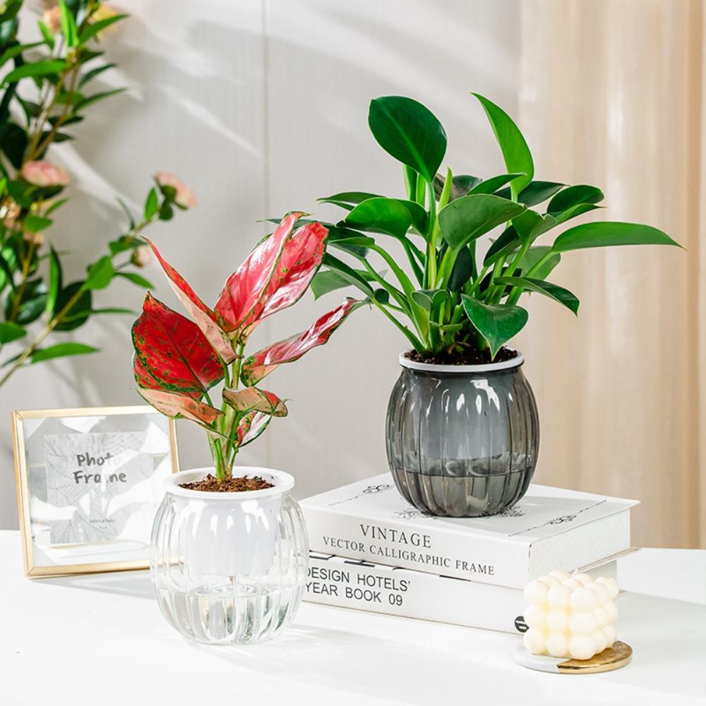 Nordic Style Water-Absorbing Flowerpot Transparent Automatic Watering Planter Garden Decor