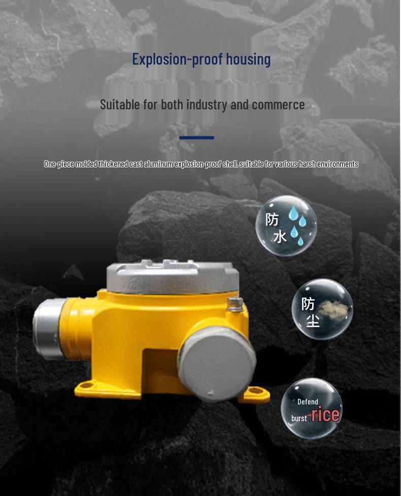 Explosion-Proof Industrial Gas Detector for Toxic Gases, Oxygen, and Carbon Dioxide; Sound and Light Alarm Included