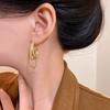 Chain fringed earrings female cold wind temperament metal stud earrings exaggerated personality Internet celebrity ears