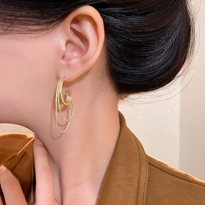 Chain fringed earrings female cold wind temperament metal stud earrings exaggerated personality Internet celebrity ears