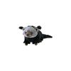 Sunlemon Fluffies M Binturong Plush Toy 17x55x13cm Cute Animal Rare Species P-1103