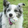 Pet Ball Launcher, Dog Trainer, Free Hands, Dog Interactive Toys, Dog Automatic Ball Launcher Dog Interactive Toys Dog Fetch Toy