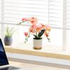 Artificial Flower in Pot Flower Arrangement Faux Phalaenopsis Orchid for Kitchen New Year Bedroom Housewarming Living Room