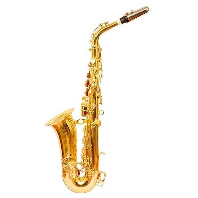 Sexophone Alto finitura laccata con custodia rigida, cintura, guanti e ancia extra