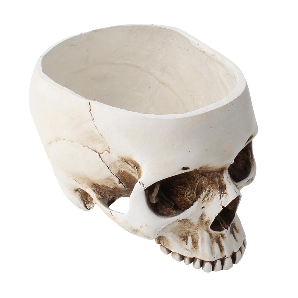 Resin Skull Flower Pot Home Garden Office Decor Planter Container Skeleton Desktop Flower Pot Halloween Skeleton Flowerpot