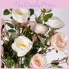 Rose Six Simulation Head Flower Artificial Flower Photography Props Home Decor