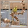 Hamster Toy Hamster Golden Bear Foraging Gnawing Grinding Teeth Wooden Bite String Snack Box Hamster Landscaping Supplies