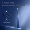 Flyco FT7205 Rechargeable Sonic Electric Toothbrush CN Plug (adapter Included)