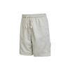 Dri Fit Casual Shorts Men's Gray DQ5713-063
