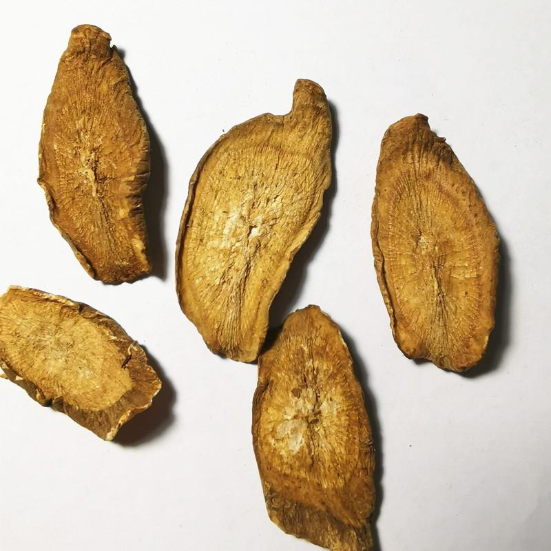 Burdock Tea Burdock Root High Quality Burdock Herbal Tea Tablets 17.6 Oz