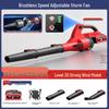 Cordless Lithium Blower CN Plug (adapter Included)