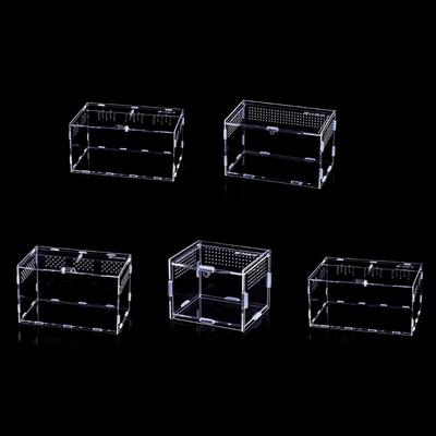 Reptiler – Terrarium