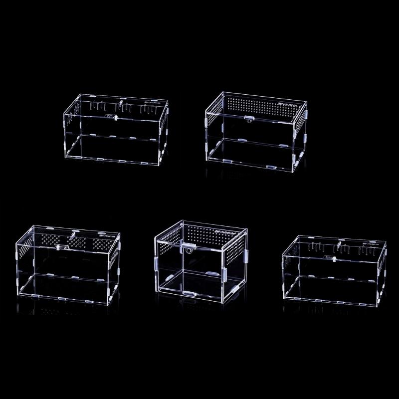 Reptiles Feeding Box Breeding Cases Portable Acrylic Terrarium Clear Insect Habitat for Mini Lizards Pet Centipedes