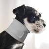 Coleira Elizabetana para Gato Cão Gato Protetor de Pescoço Respirável Anti-Arranhão Coleira Protetora de Pescoço para Pet Ajustável Almofadado Cone Cervical