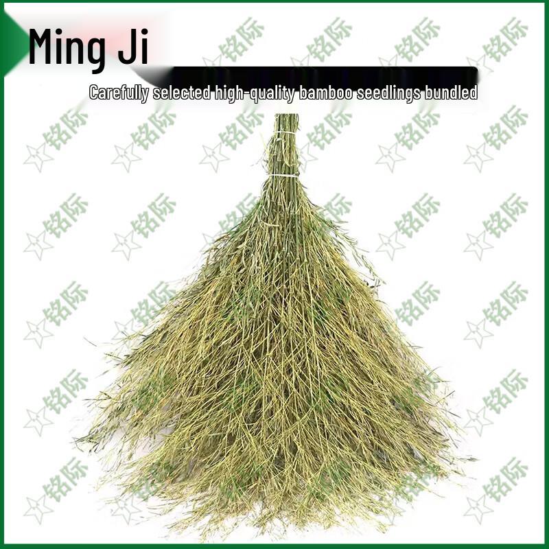 Outdoor Bamboo Road Cleaning Broom