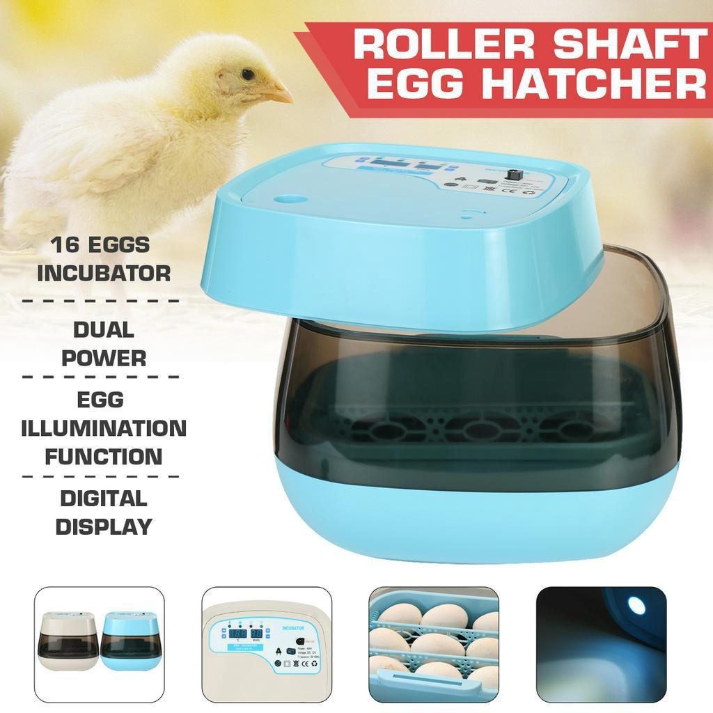 16 Eggs Fully Automatic Incubator Chicken Incubator with Photo Function LED Lighting Automatic Egg Turning Egg Hatcher 10V~220V