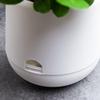 Self Watering Planter Pots with Water Reservoir for Small Indoor Plants