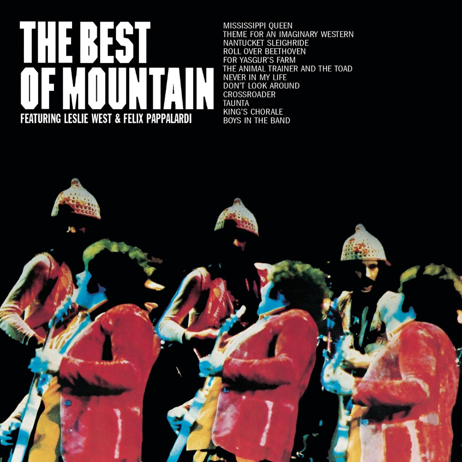 

CD MOUNTAIN - Best of CK61574 US Rock Used