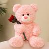 Adorable Brown And Pink Teddy Bear Plush Toy Perfect For Girlfriend Valentine's Gift