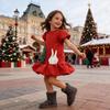 Available: 2025 Christmas Princess Dress - Puffy Skirt for Girls, Perfect for Birthdays and Parties.