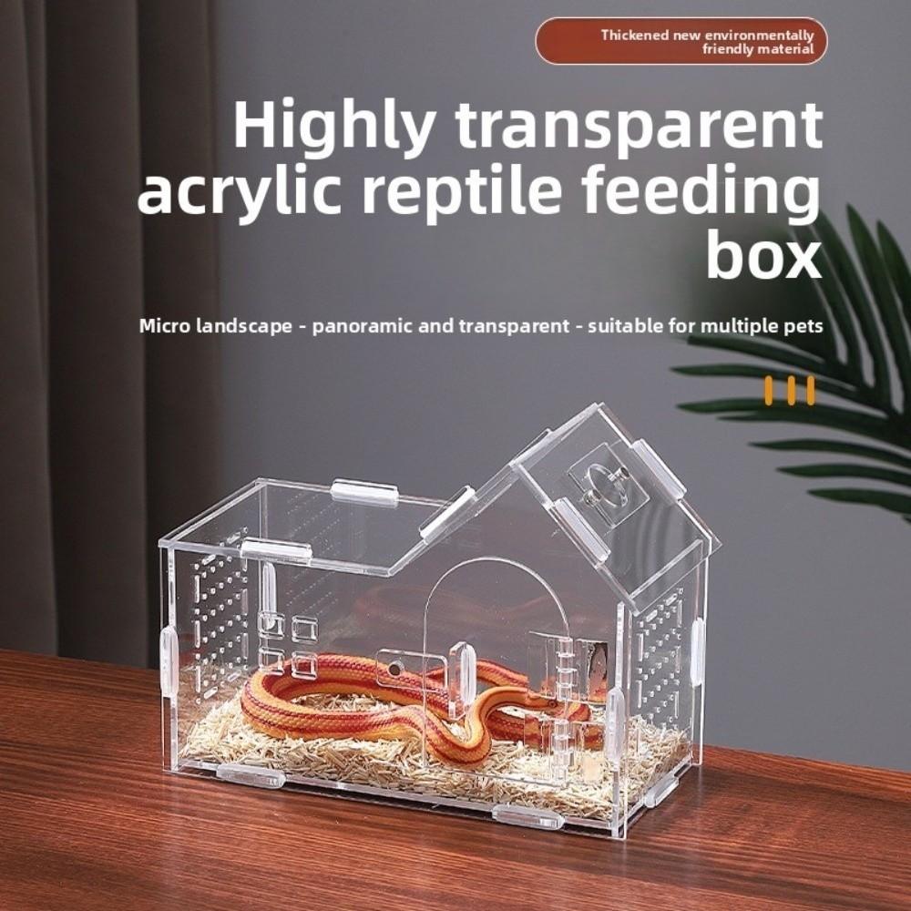 Durable Acrylic Reptile Habitat Anti-Escape Clear Lizard Breeding Box Arboreal Ventilated Tarantula Enclosure Small Pet Supplies