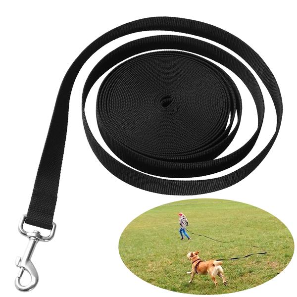 Buy UEETEK 10m*2.5cm Long Dog Puppy Pet Puppy Training Obedience Lead