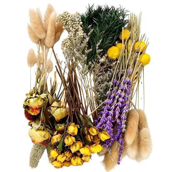 DIY Natural Dried Flower Set Eucalyptus Lavender Wheat Bunny Tails Billy Ball Flower Bouquet with Stems for DIY Crafts Home Wedding Vase Decor