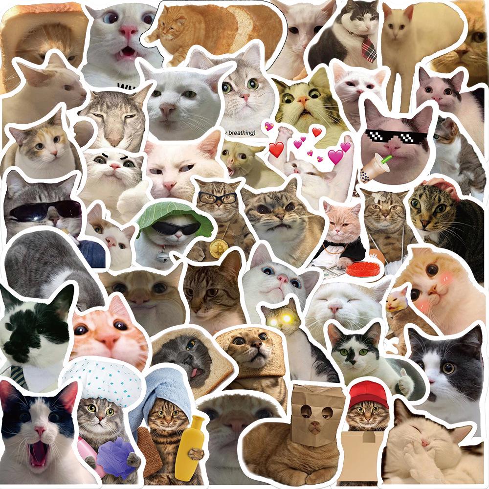 50 Internet Celebrity Cat Emoji Stickers: Waterproof, Perfect for Suitcases, Notebooks, Guitars, and More!