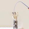 Simulated Mouse Tail Long Tail Cat Toy Stick Silicone Pet Products Pet Interactive Toys Interactive Cat Teaser