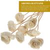 9 Stück Rattan Diffusorstäbchen Aromatherapie Blumen Heimdeko Trockenblumen Diffusoren Ätherisches Öl Duft Aroma Auswechselbar