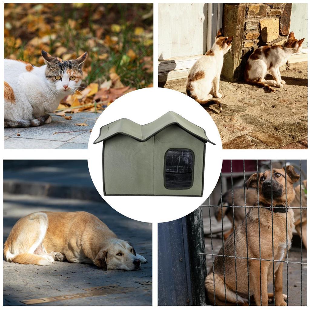 Wildkatzenunterstand Abnehmbarer Katzenunterstand Wetterfest Warmer Unterschlupf Haustierhöhle Transparentes Türdesign Waschbarer Katzenunterstand