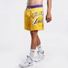 Nike Lakers Colorblock Logo Breathable Knit Sports Shorts Men Bottoms Yellow DB1954-728