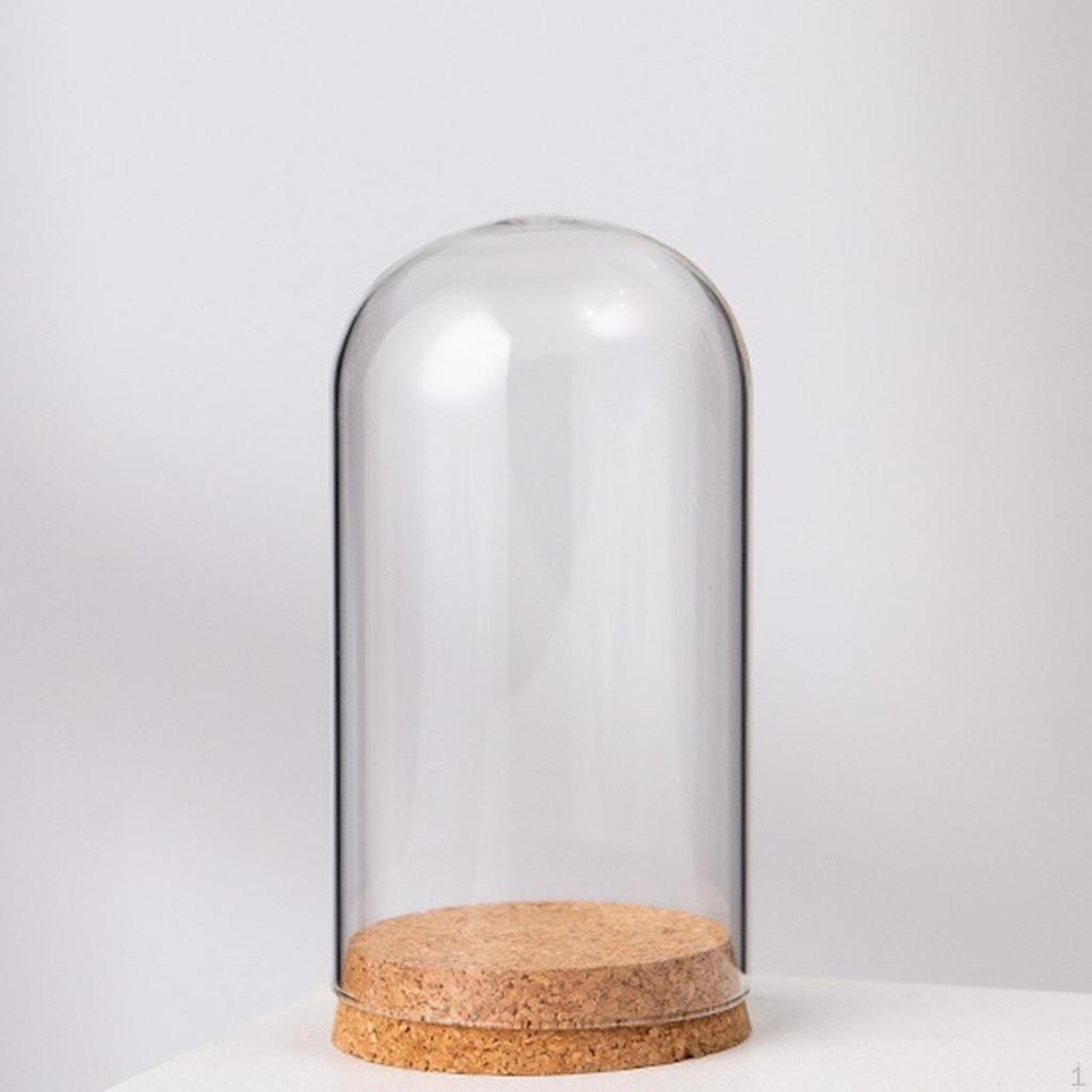 Cloche Bell Jar Display Dome Case with Wood Base Container Centerpieces Cover
