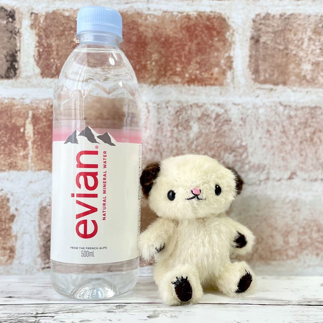 

[USED] White teddy bear with brown ears, handmade by artist