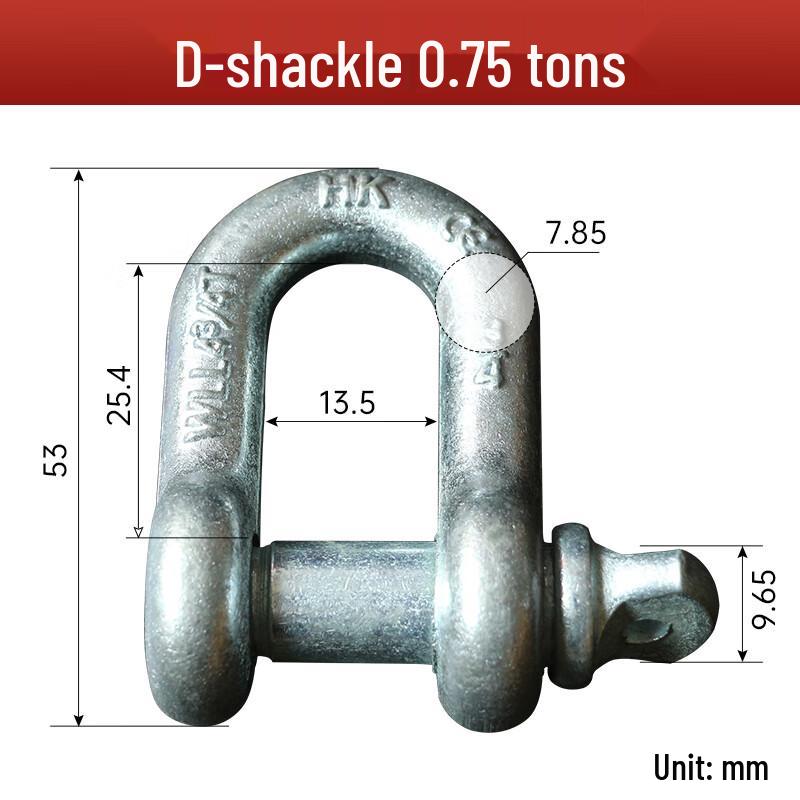 American Standard D-Ring Lifting Shackle