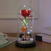 Dome Decoration Handmade Forever Immortal Flowers with LEDs for Party Wife Her or Him Thanksgiving
