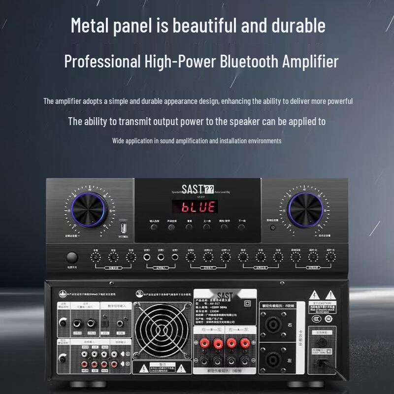 SAST Professional 15-inch Conference Audio System with Microphones (CN version)