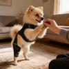 Dog Hip Brace Adjustable Joint Wrap Dog Back Leg Brace with 4 Metal Stabilizers for Pet Hiking Exercise Outdoor Activities Park