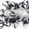 800Pcs Black Chicken Feathers And 50G White Turkey Feather Boa 2 Meter Decorative Plume For Wedding Carnival Clothing Acessories