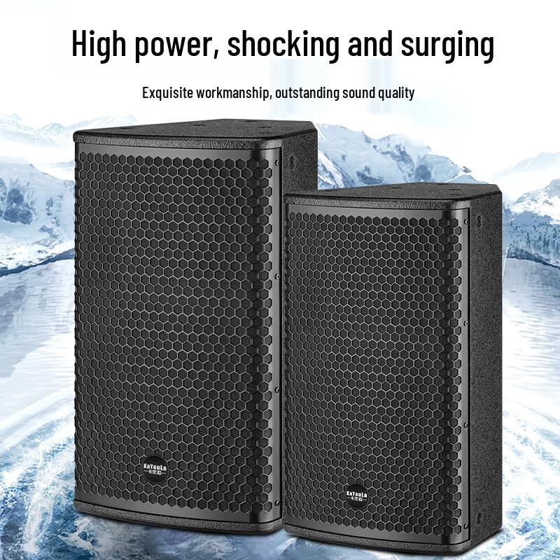 Kayula Professional Passive Full-Range Stage Speaker (CN version)