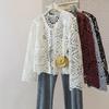Korean Style Plus Size Embroidered V-Neck Lace Top - Autumn Women's Loose Long-Sleeve