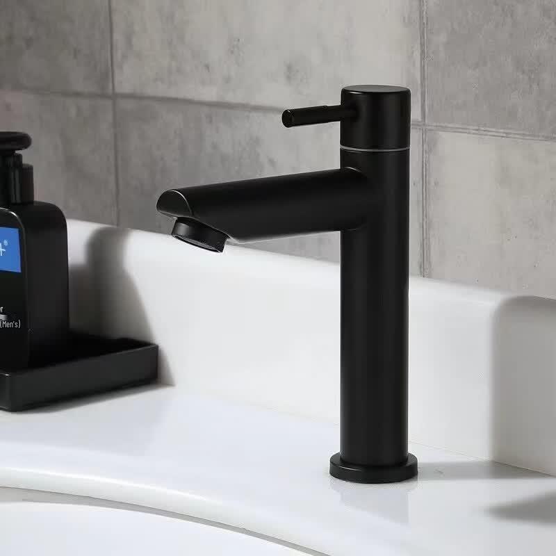 TLXT Stainless Steel Single Cold Long Faucet