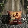 Album DionS cushion cover Pillow Cover Case C-Celine Singer Room Bedroom Sofa Living Backrest Car Square Headboard
