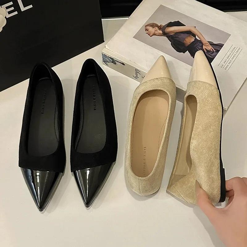 Modne francuskie szpiczaste buty damskie 2025 Wiosna Nowe Eleganckie Uniwersalne Eleganckie Damskie Płytkie Wycięcie Niski Obcas Jednowarstwowe Buty
