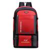 Men's Large Capacity Travel Backpack