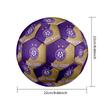 Personalized Size 5 Football Austria Wien FC Pattern Outdoor Game Sports Ball Gift